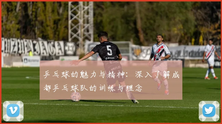 乒乓球的魅力与精神：深入了解成都乒乓球队的训练与理念