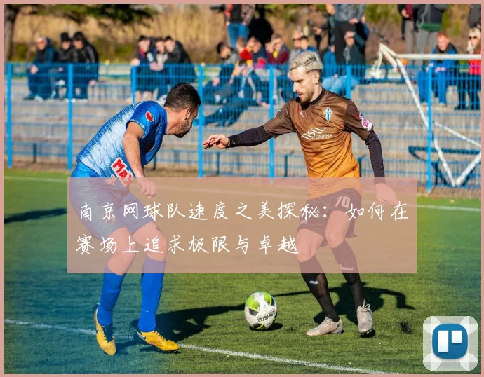 南京网球队速度之美探秘：如何在赛场上追求极限与卓越